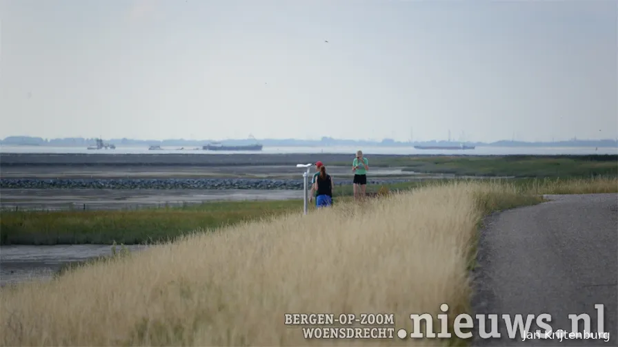 20200818 westerscheldedijk