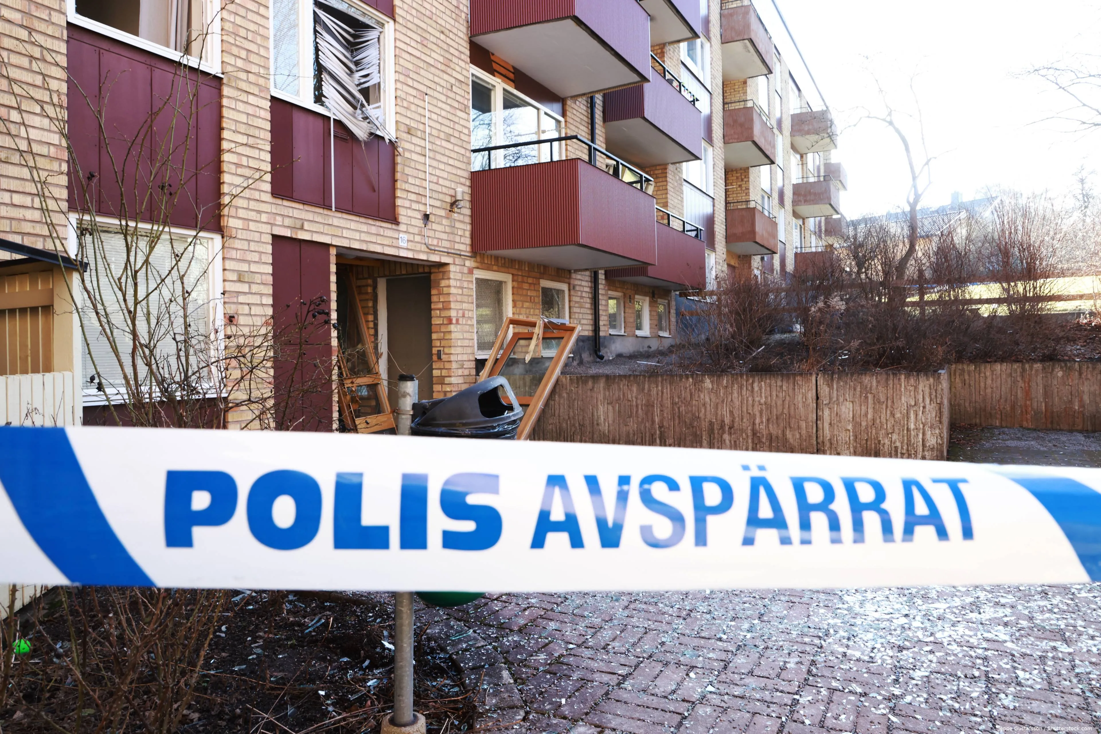 shutterstock_2467746015