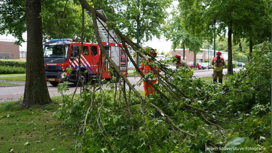 rijnstraat1