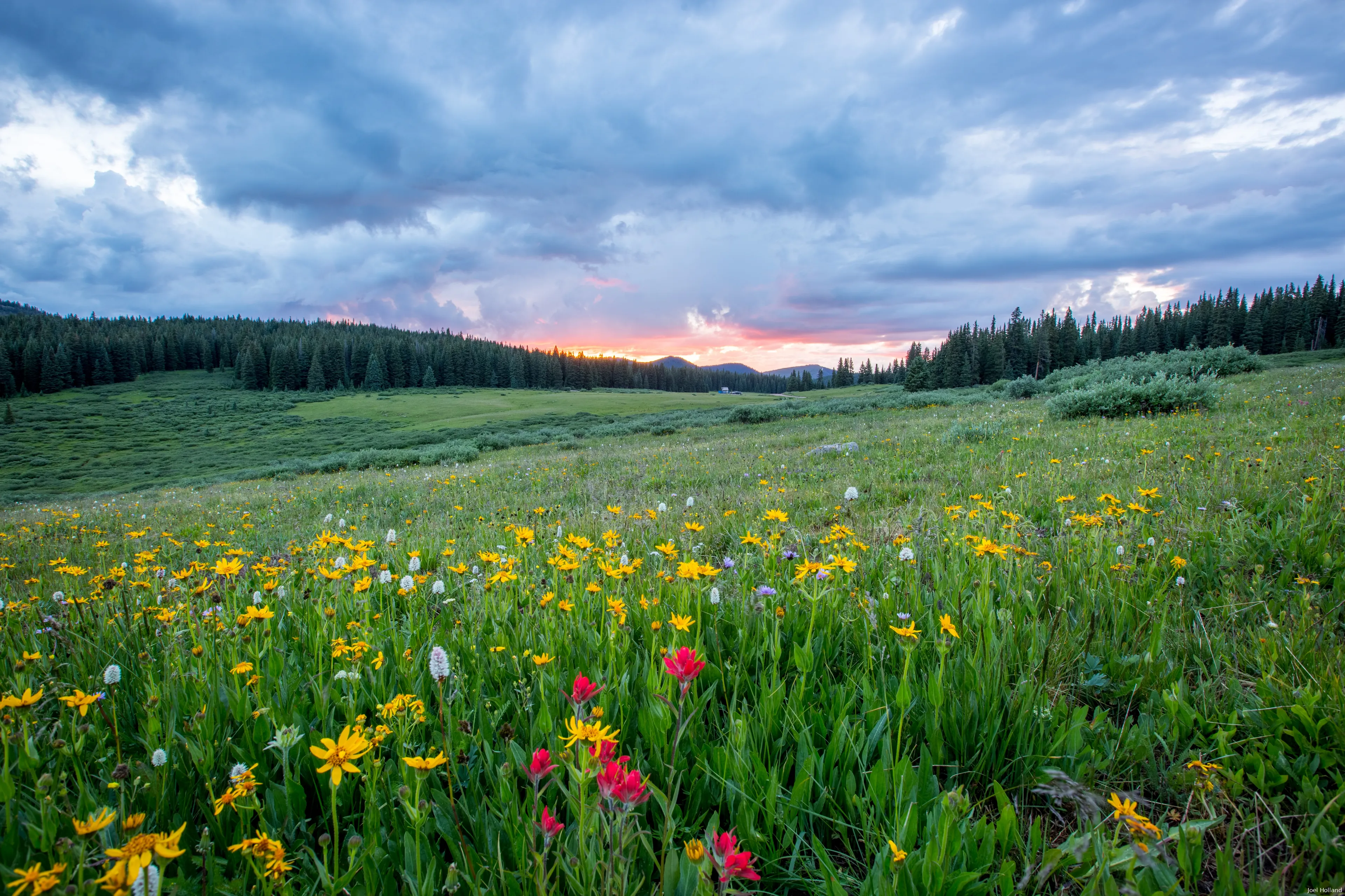 joel holland trhgegdw yy unsplash