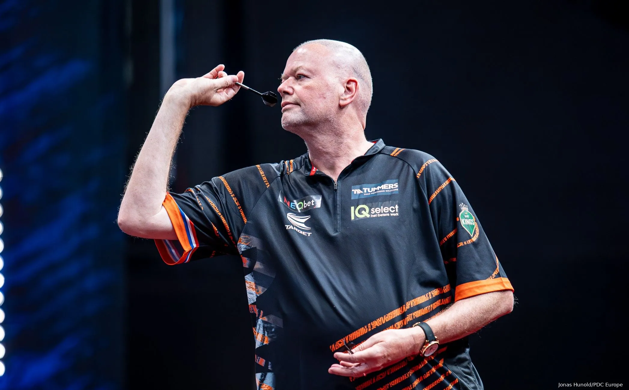 raymond van barneveld 2