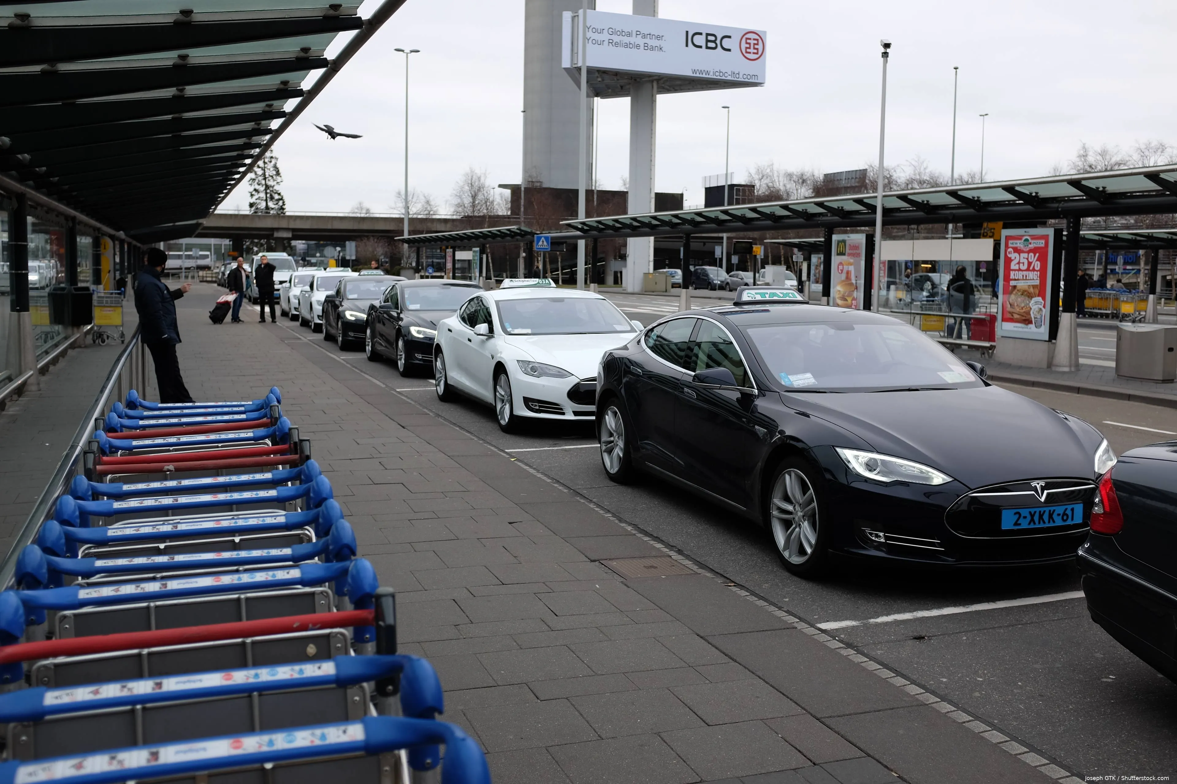 shutterstock_1433350610