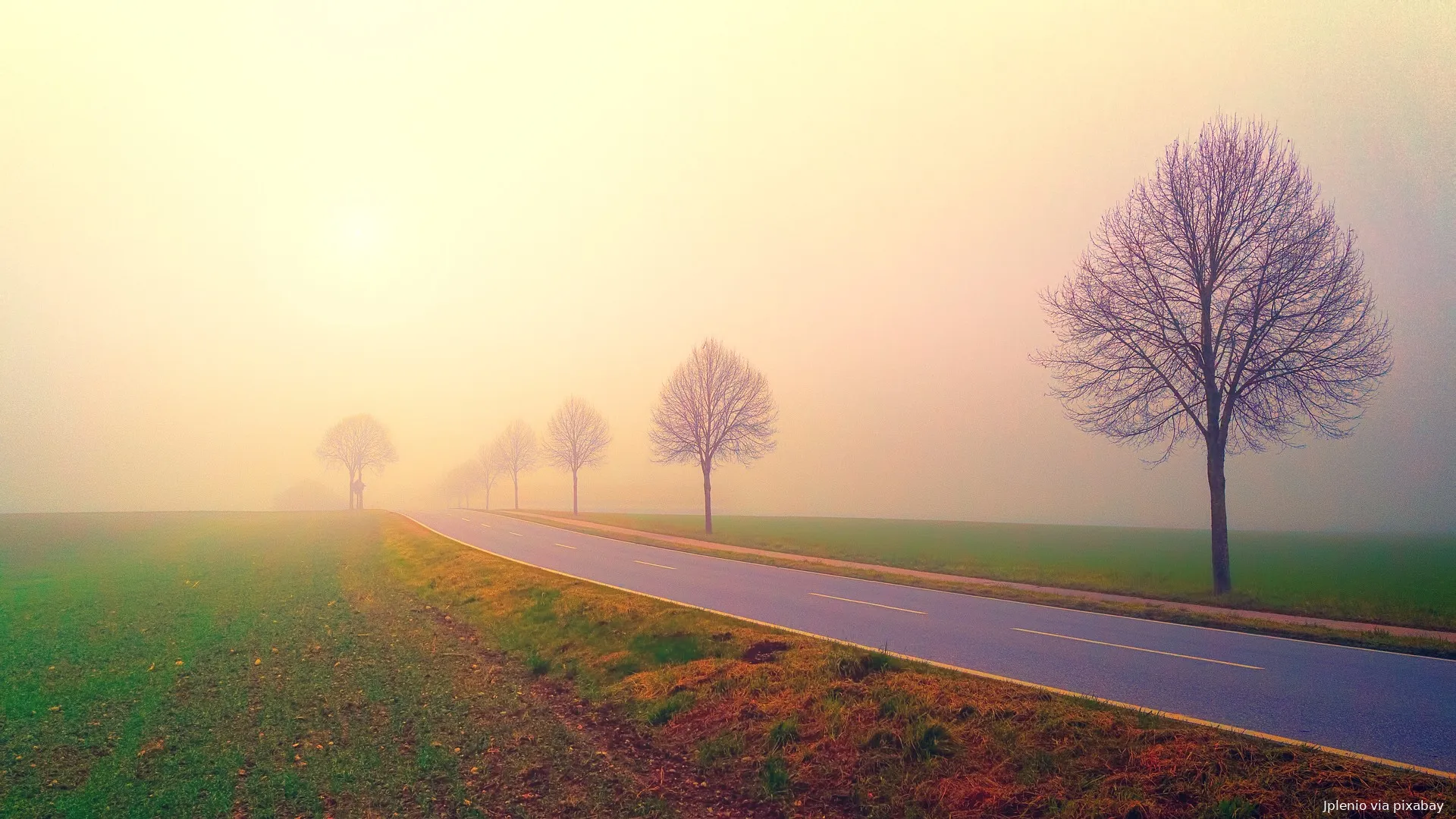 dawn gcc814b8ea 1920 mist jplenio via pixabay herfst