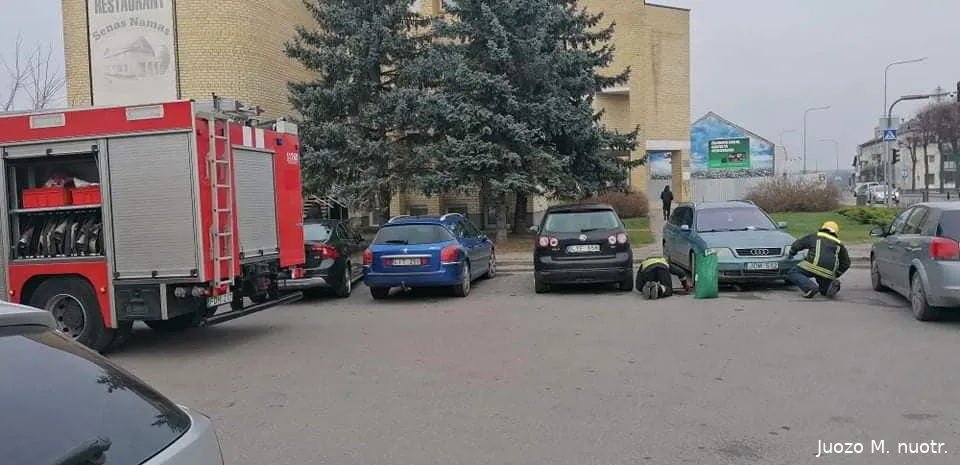 autovlng255511326 5057438177617362 6660516236921040797 n