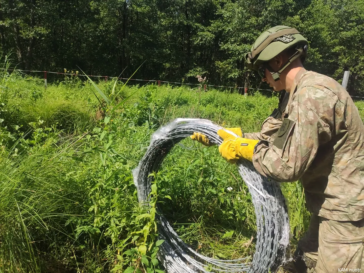 214612359 10165635432755247 4474374591362469357 n