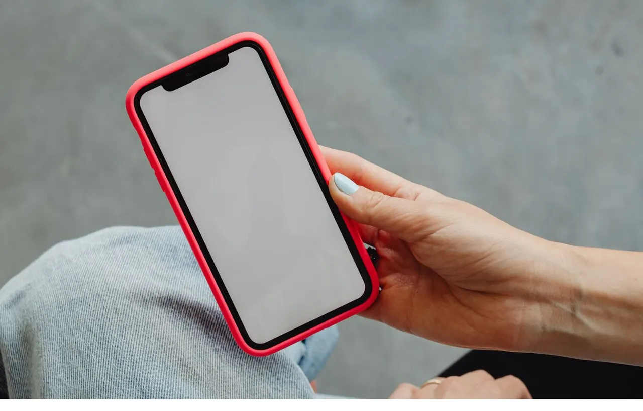 iphone notch karolina grabowskaf1629548187