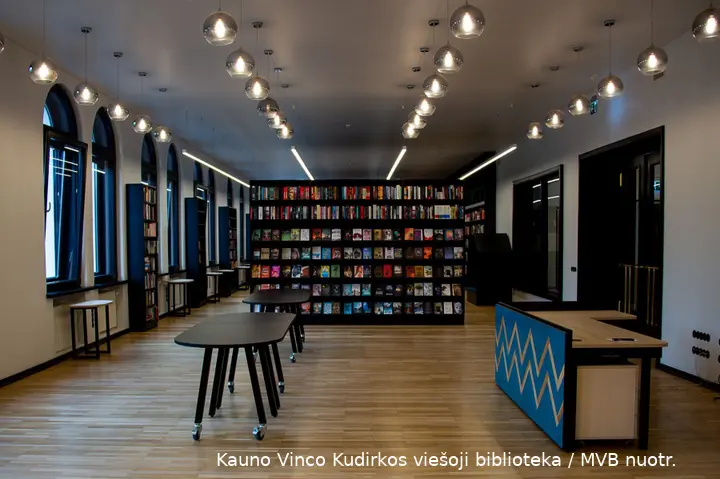 v kudirkos biblioteka 2