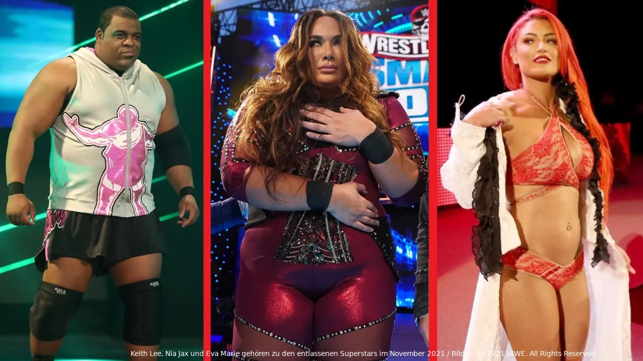 wwe entlassungen 1121