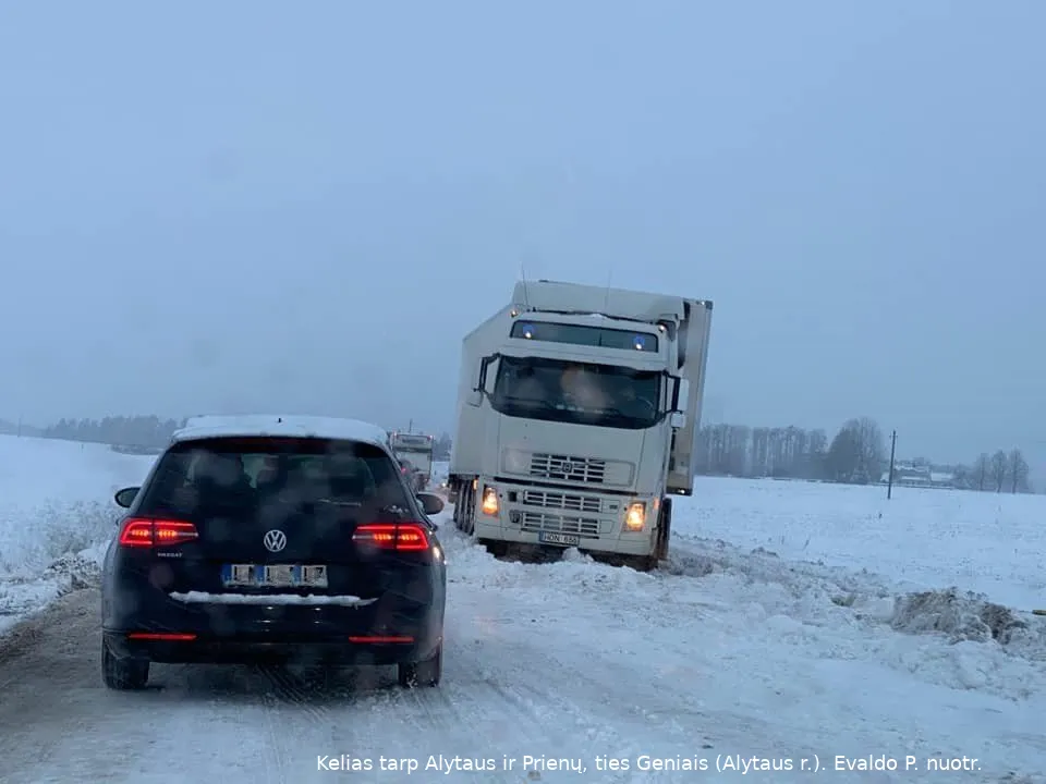 ziem142696682 3890120044342727 7456022196751937329 ngen