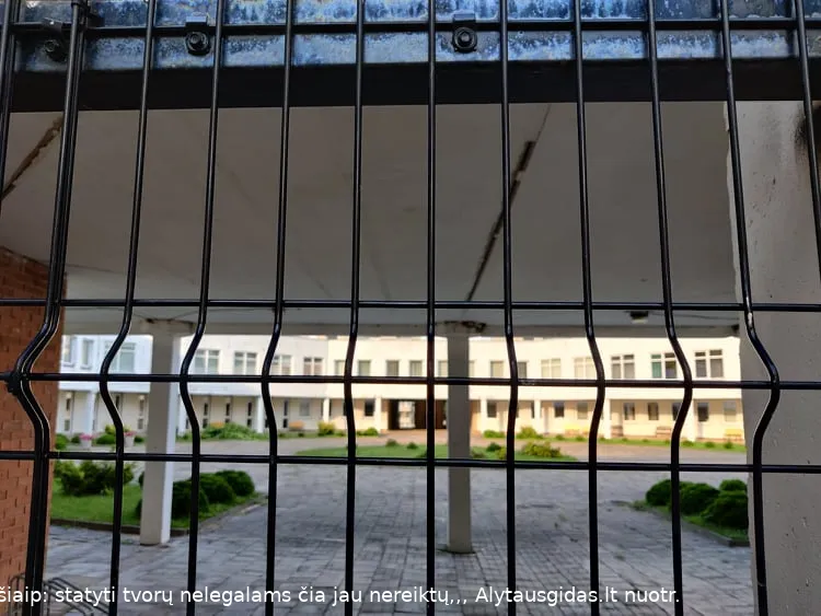 218640113 519758882648286 2220201080807330945 n 1