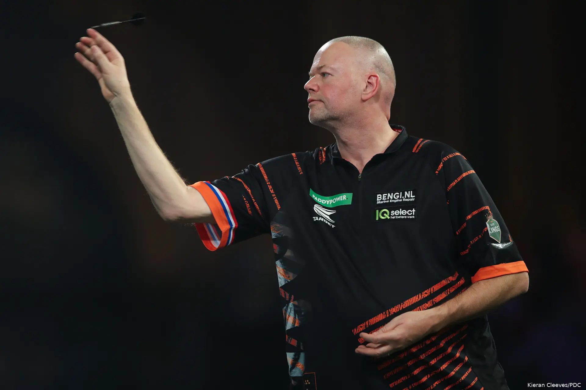raymond van barneveld 3