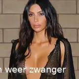 kim kardashian net