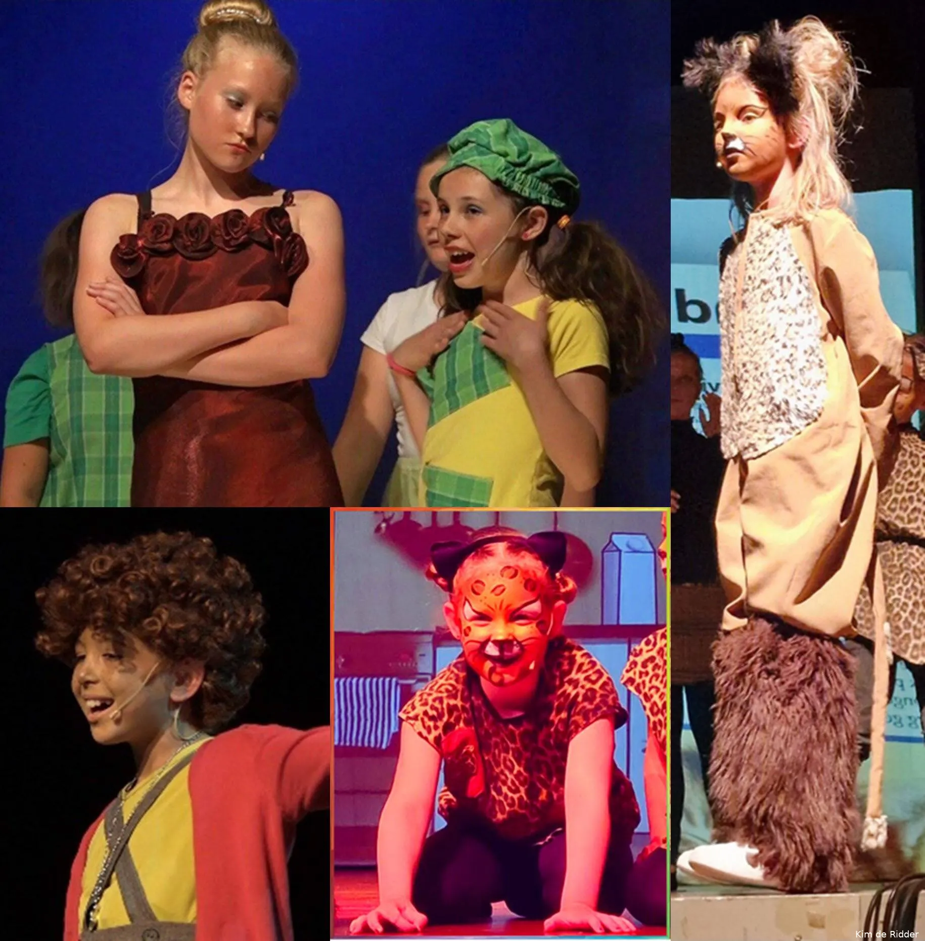 Drie Musical voorstellingen in Schouwburg Theothorne Dieren