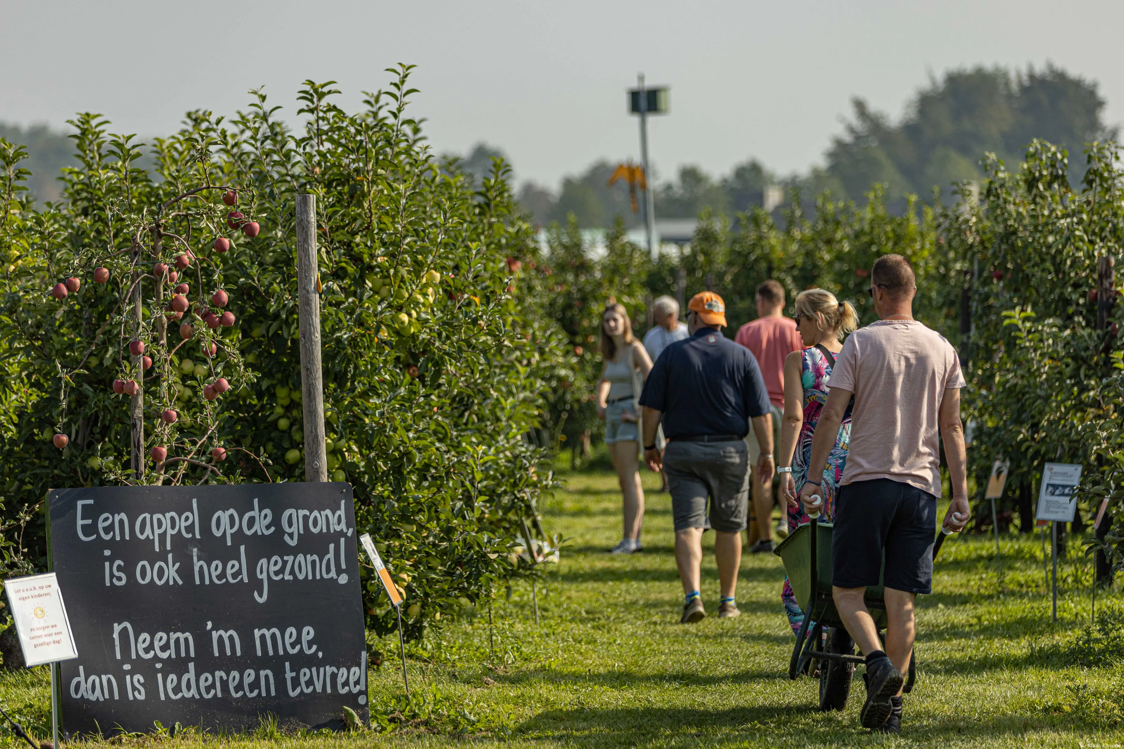 klaas eissens av producties vink fruitfestival 10 09 23 2mb 25