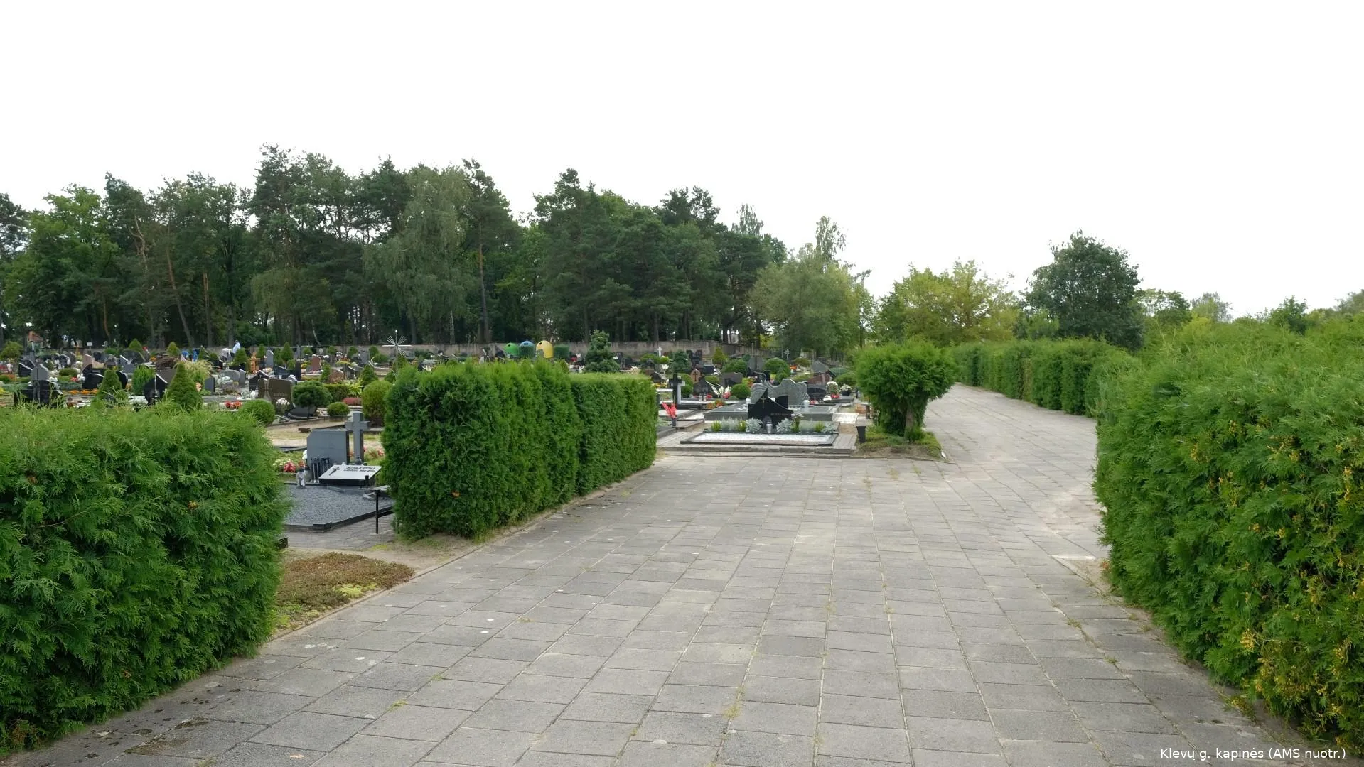 0f345356