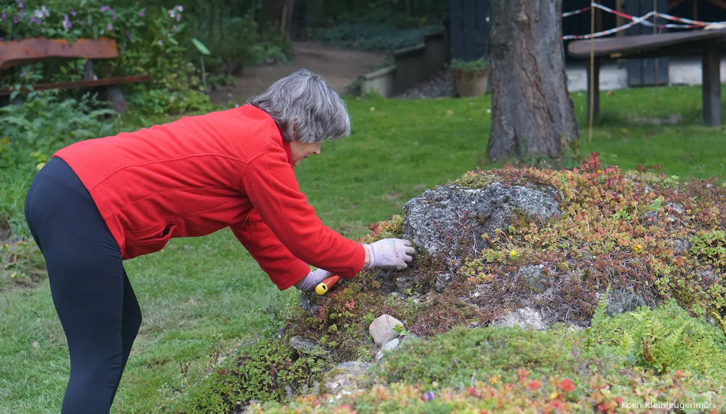 ivnov ivn tuin medewerker koen kleinleugenmors