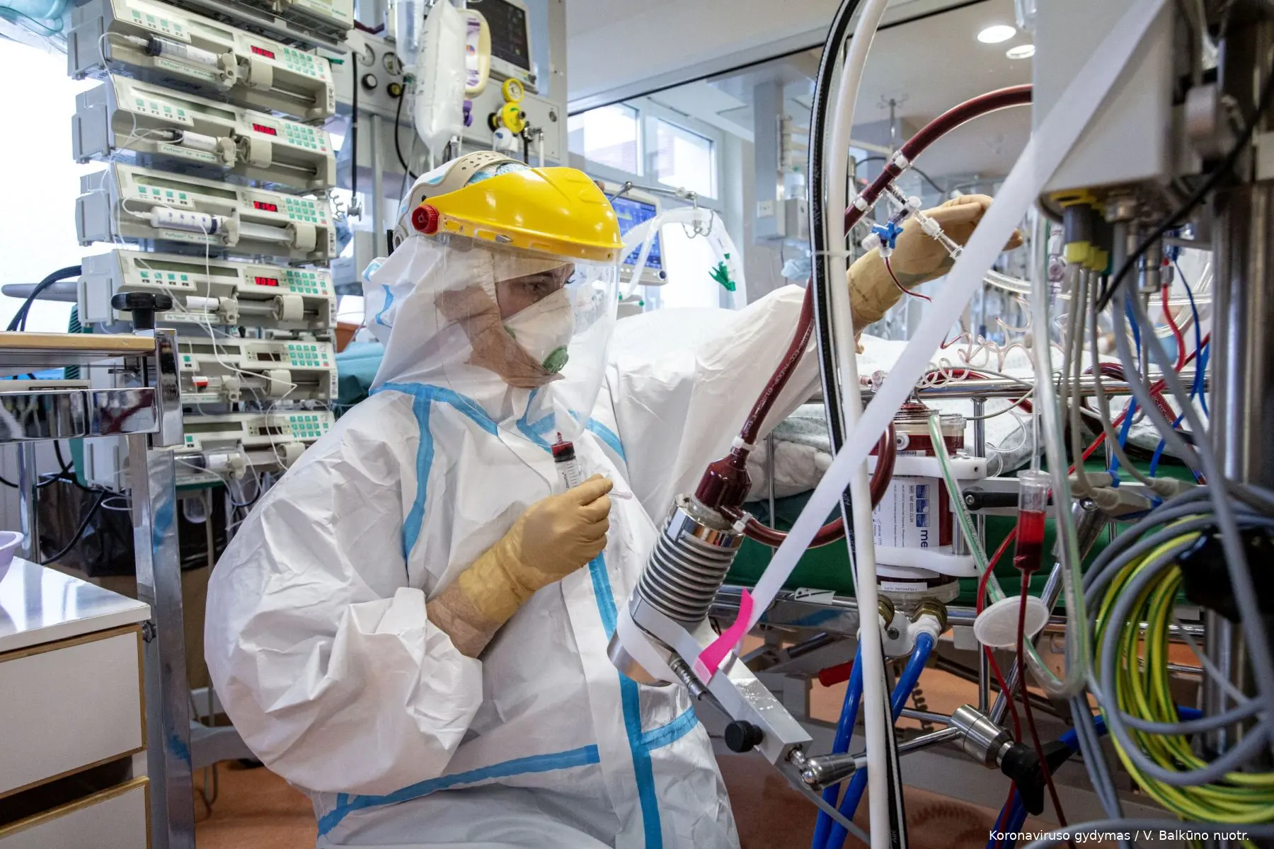 0034 v balkuno nuotr 1258 1605205040