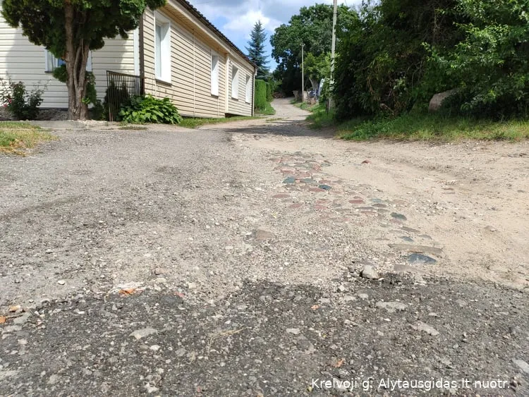 224454656 884374249128410 4108970070160996531 n