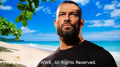 wwe roman reigns macht ferien
