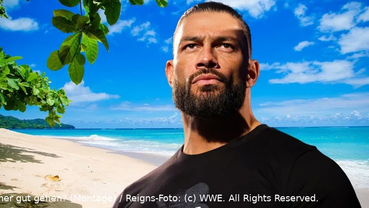 wwe roman reigns macht ferien