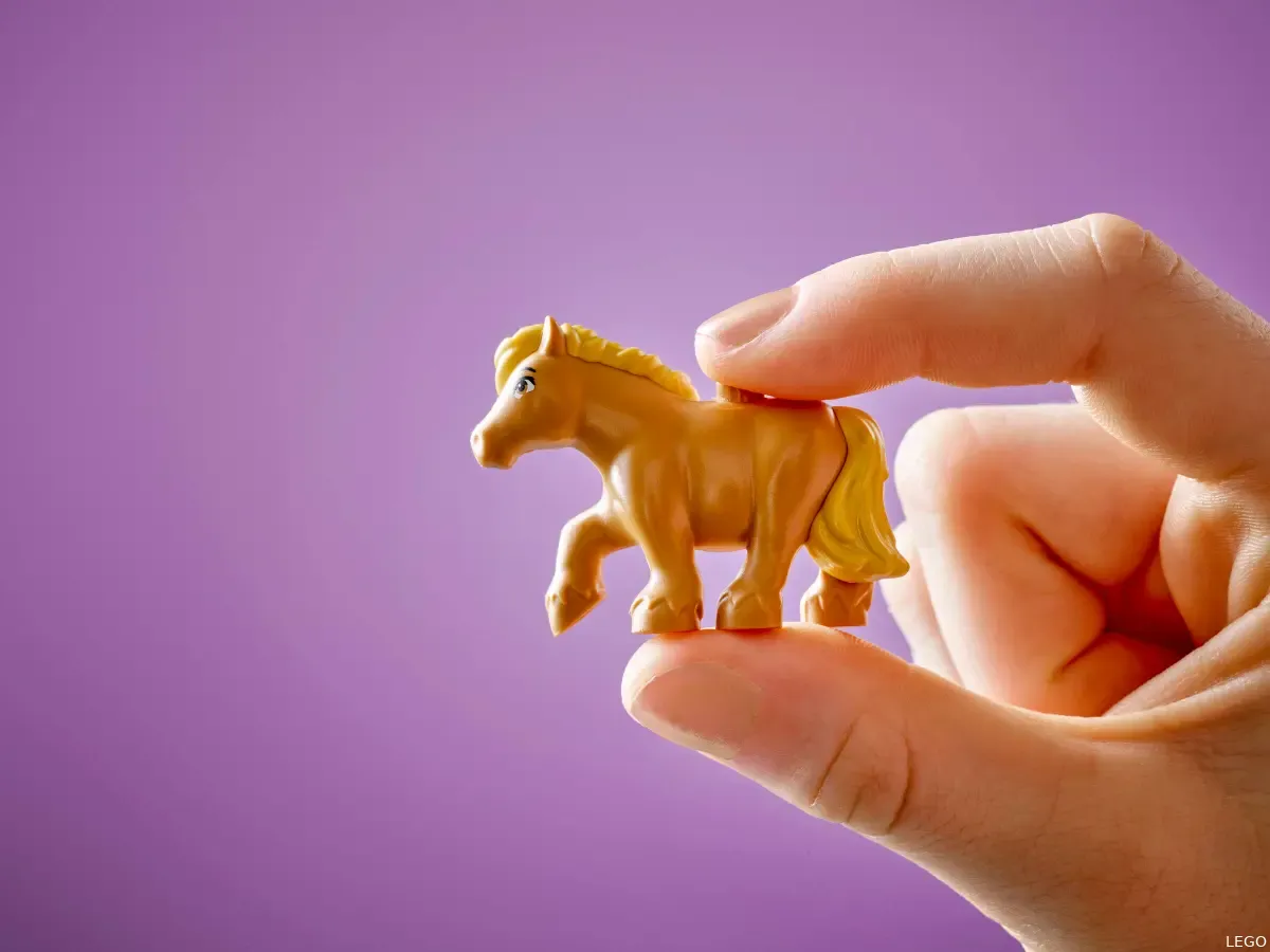 De bewuste pony met okergele manen