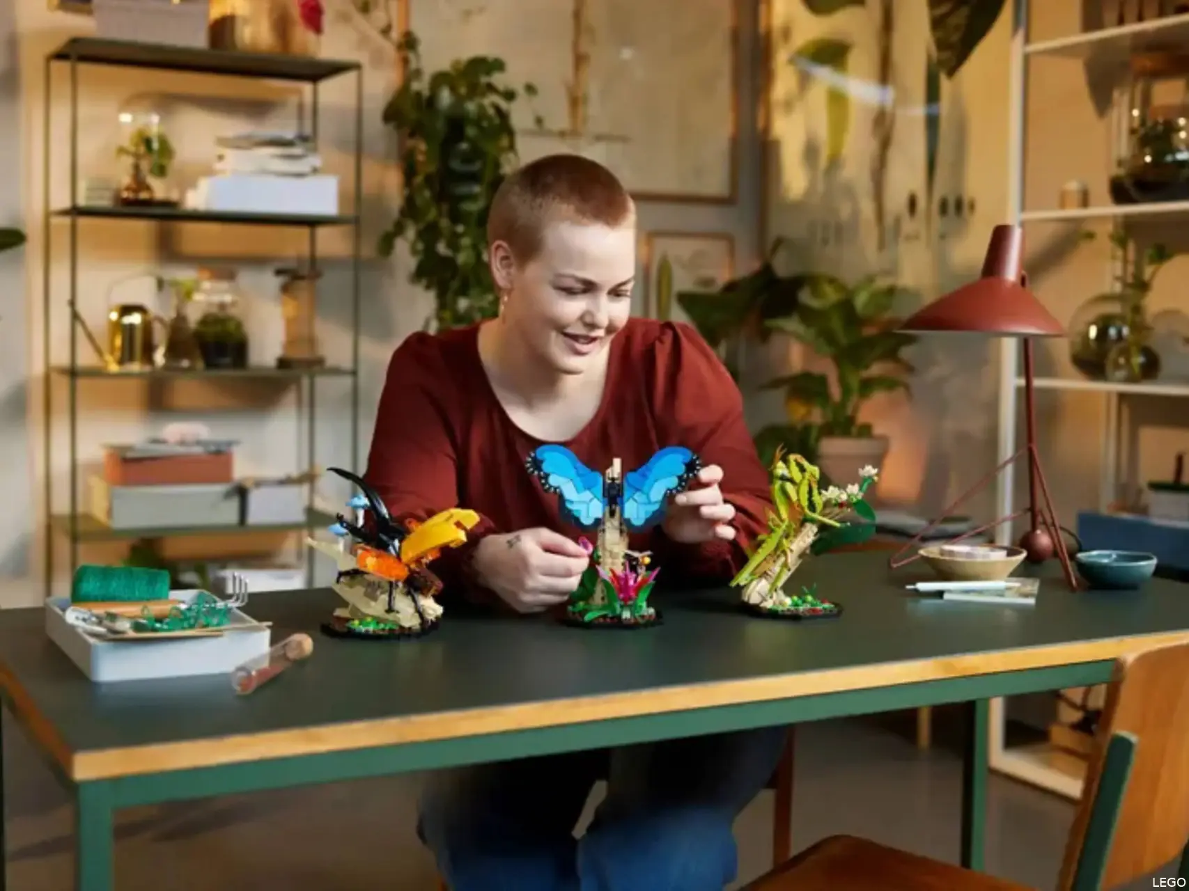 LEGO Instectencollectie 21342