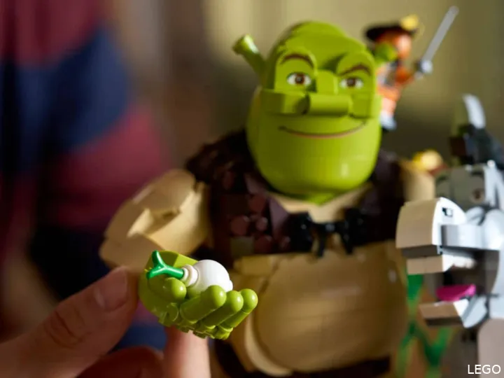 LEGO Shrek DOnkey and Puss Close up met uit