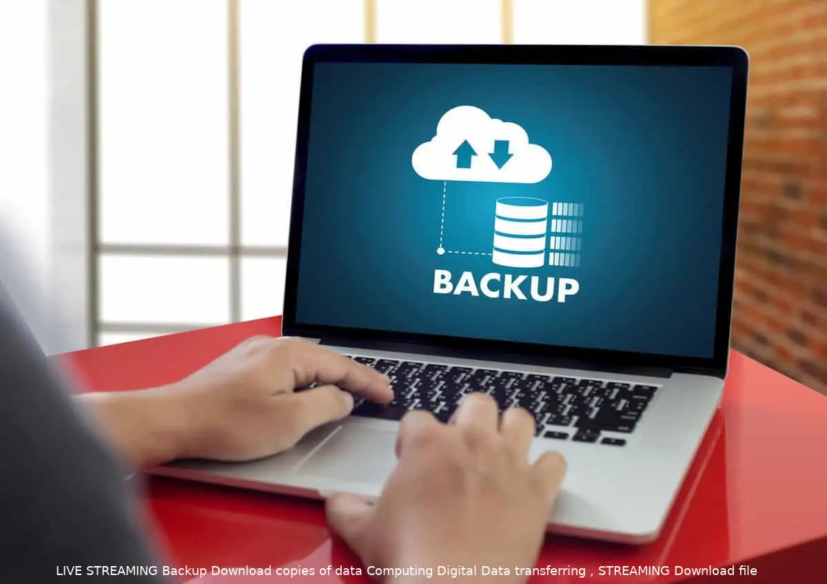 world backup day 2