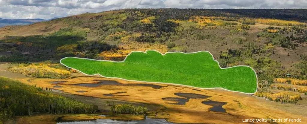 greenaerialoutlineofpando 1024