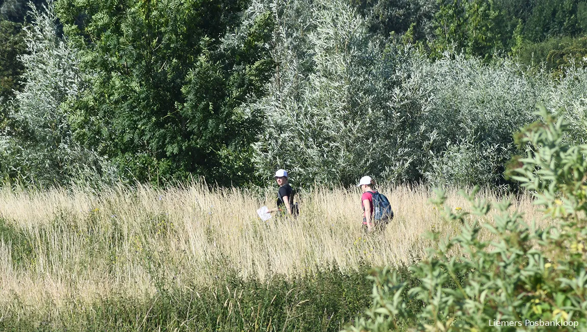 liemers posbankloop wandeltochten