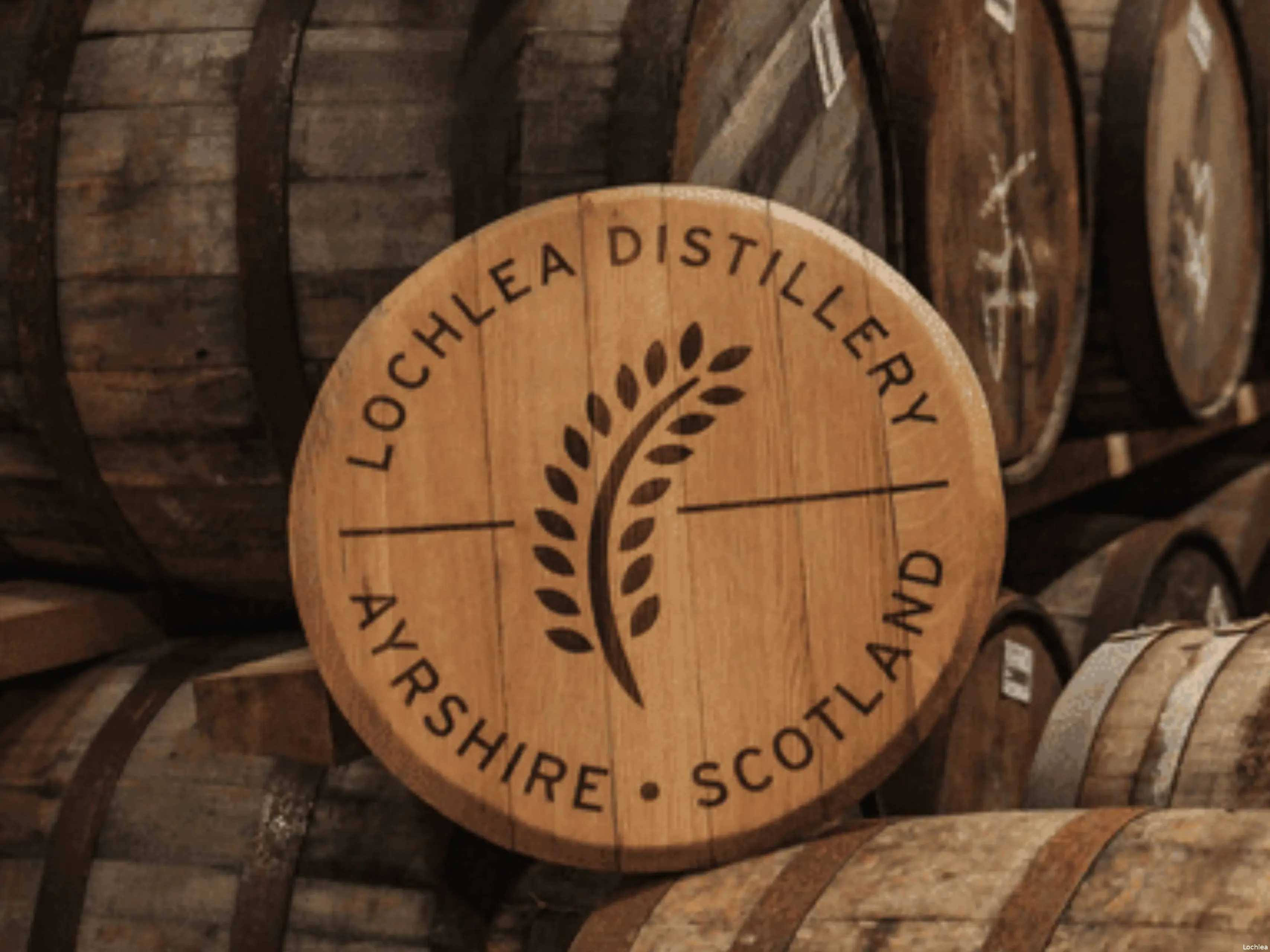 Lochlea Whisky Cask