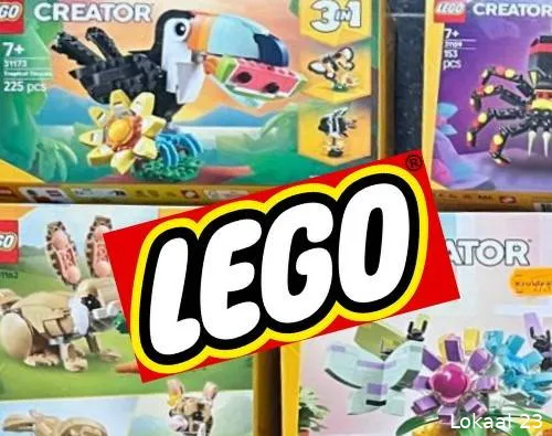 LEGO voor volwassenen