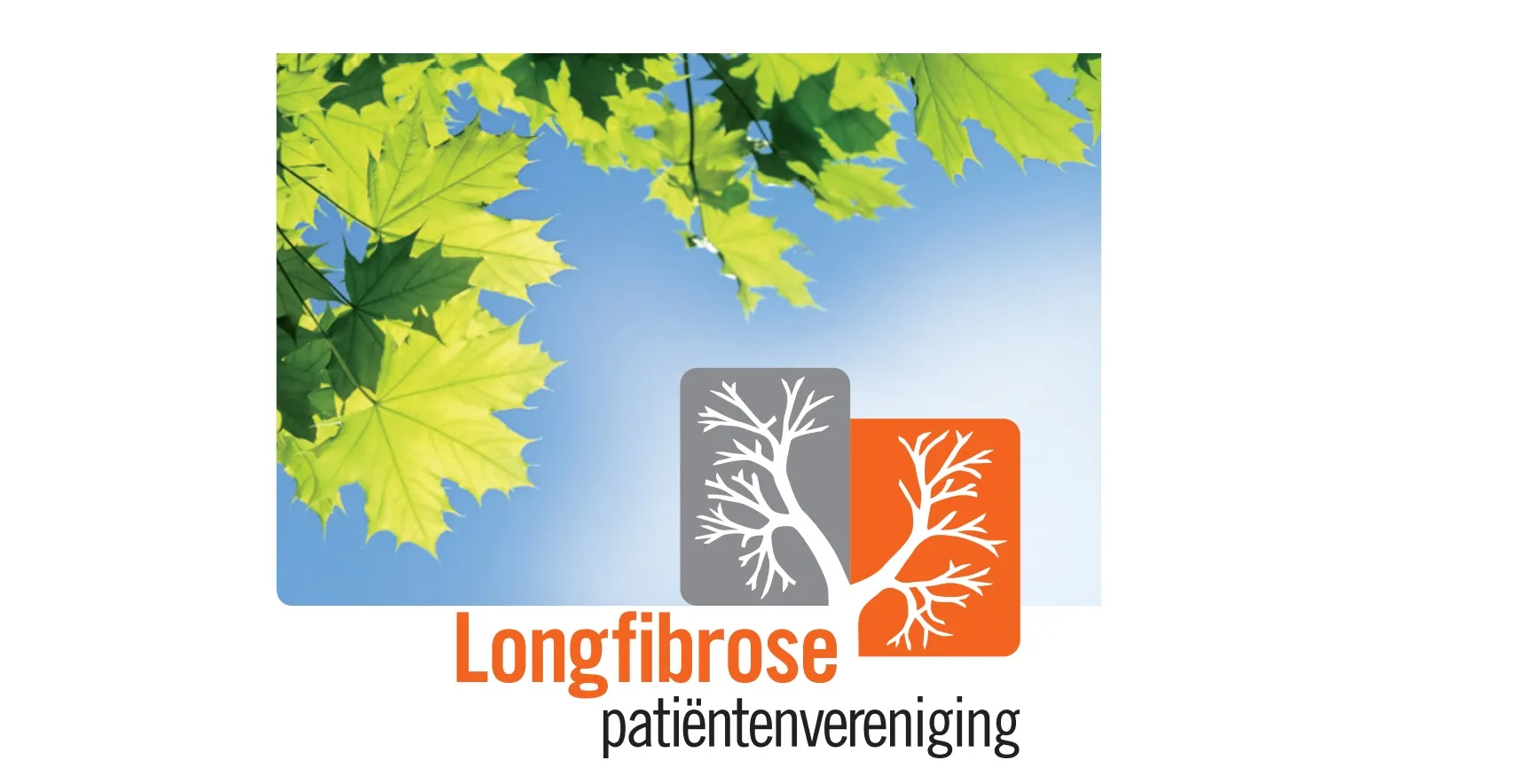 longfibrose