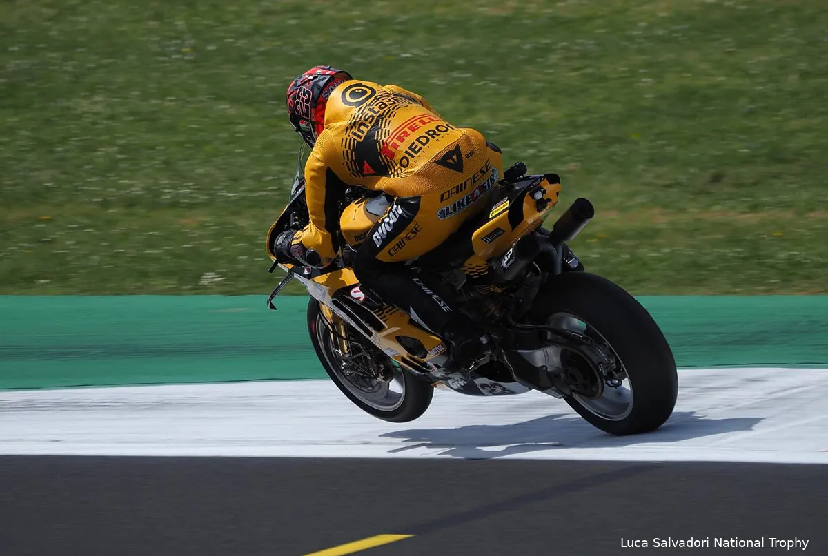 luca salvadori national