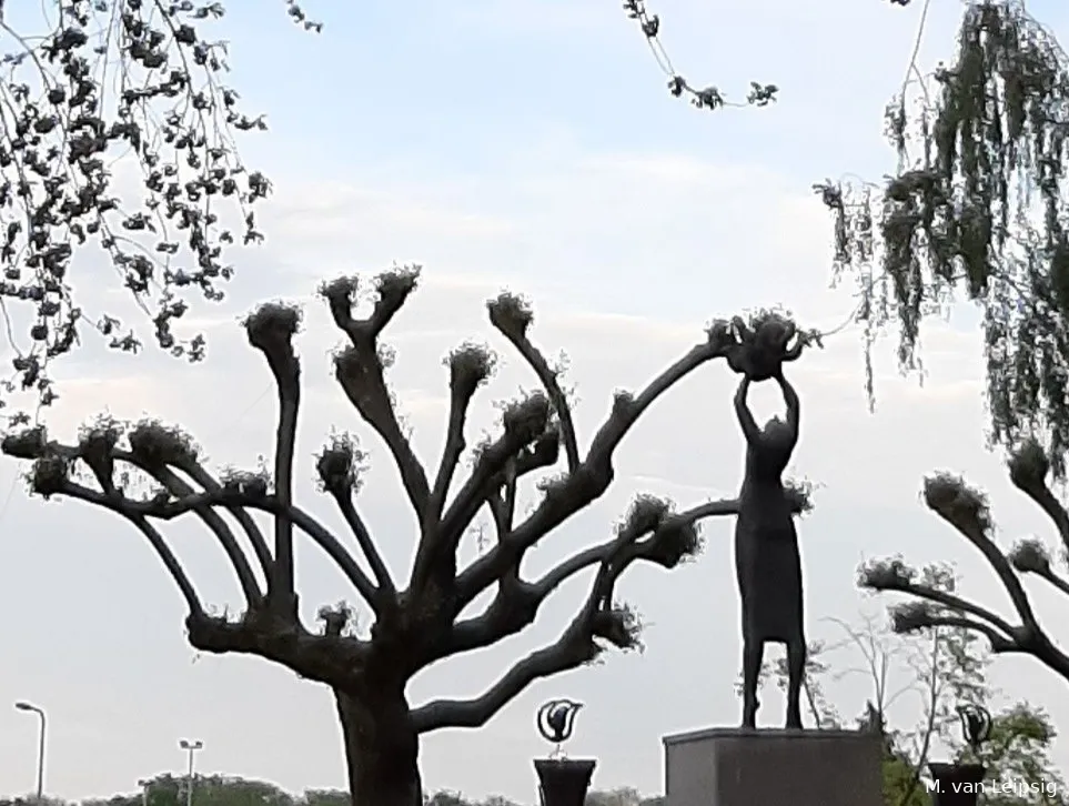 dodenherdenking 4 mei 2023 voorfoto