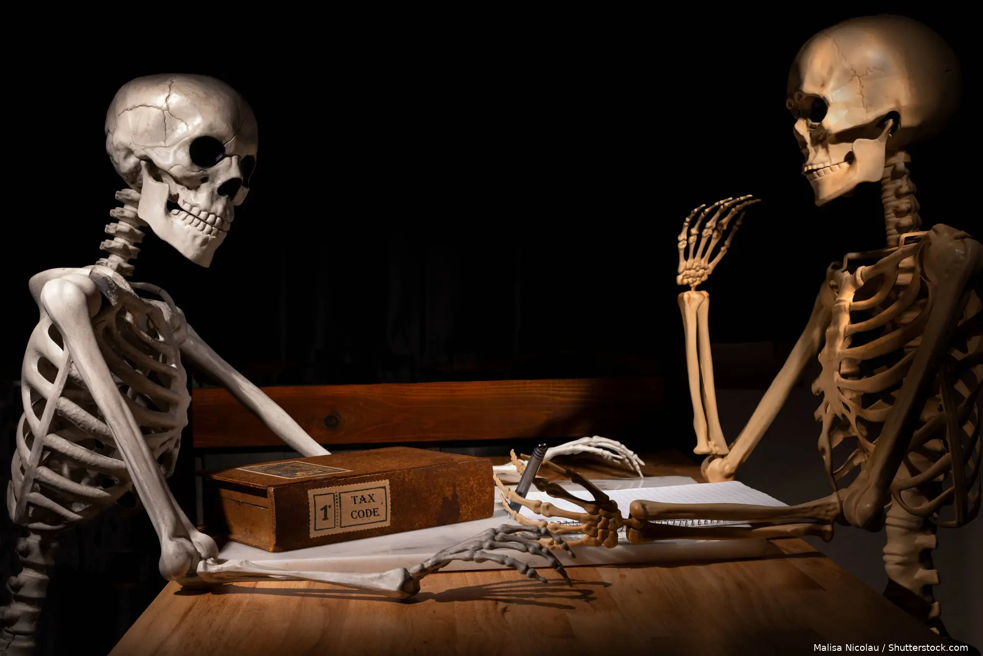 shutterstock_2353421827