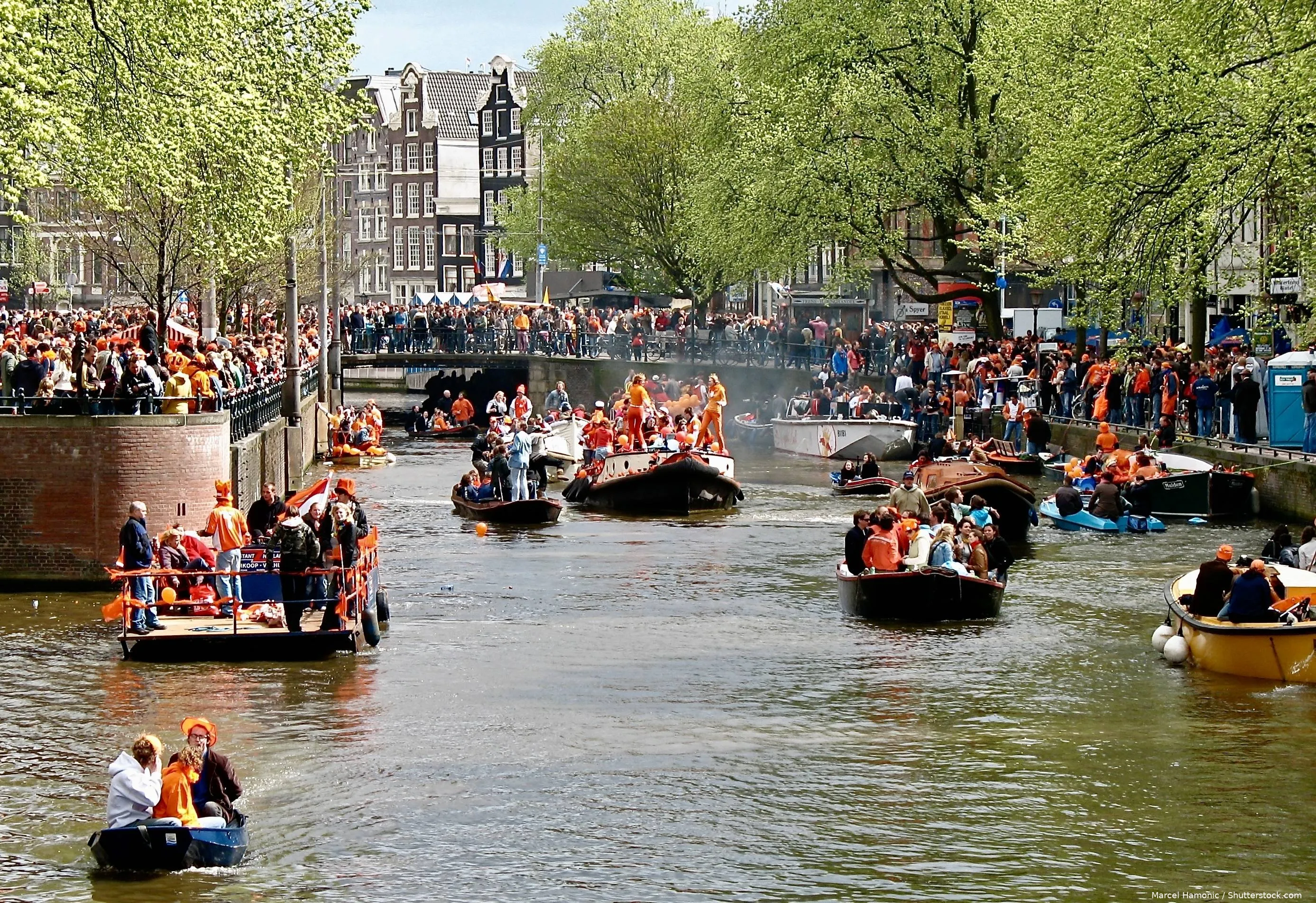 shutterstock_2665967937