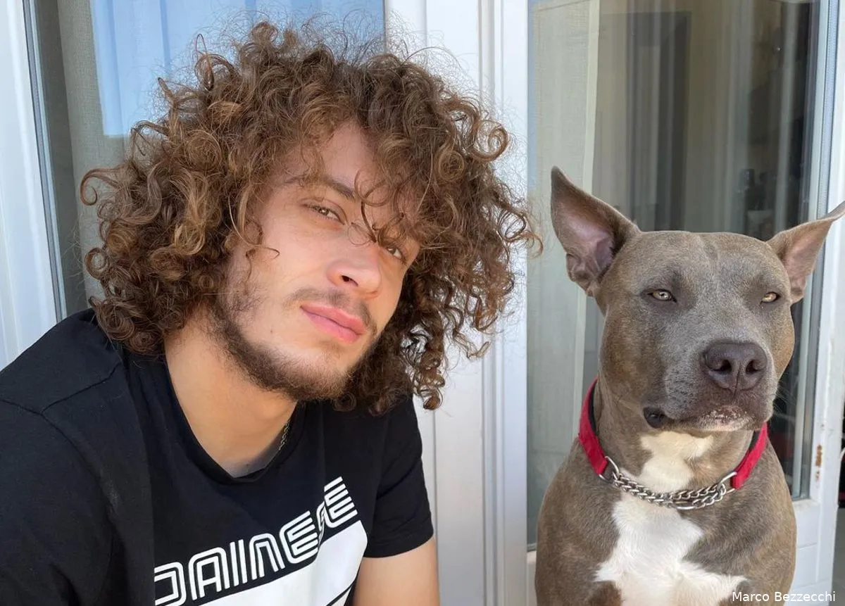 bezzecchi cane