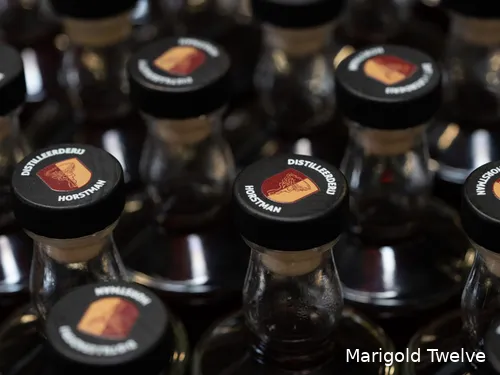 Horstman 28 year old doppen