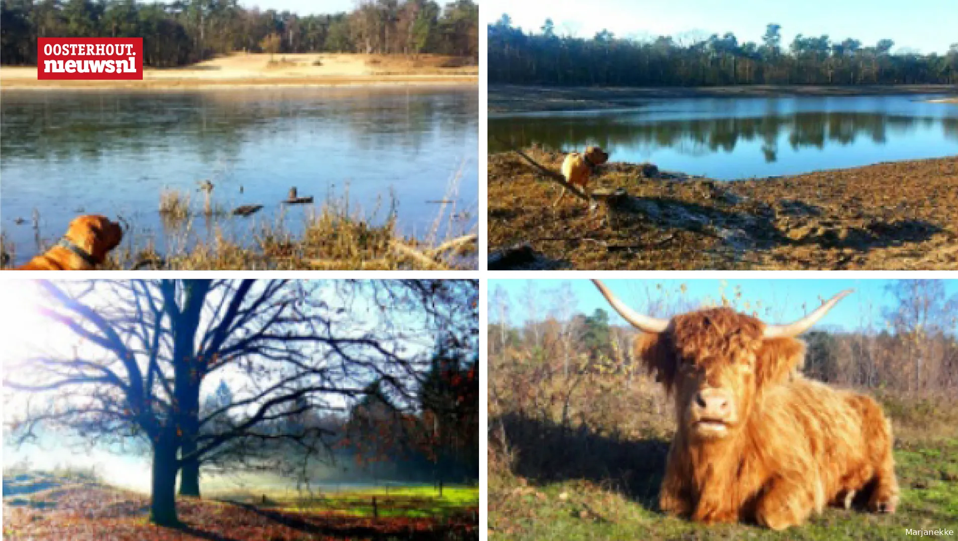 boswachterij dorst