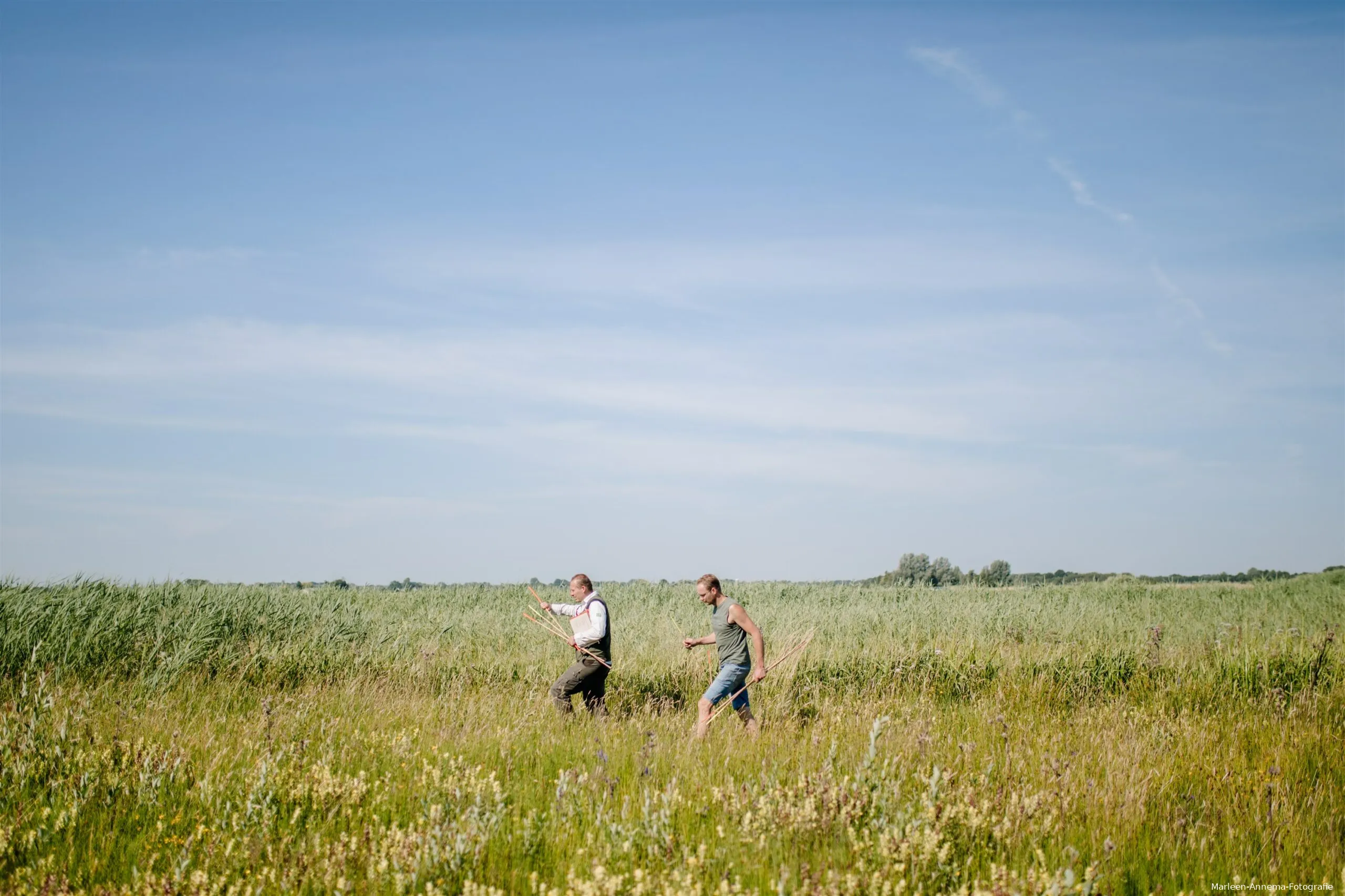 21938 inventarisatie van het grasland voor de maaironde at marleen annema fotografie scaled