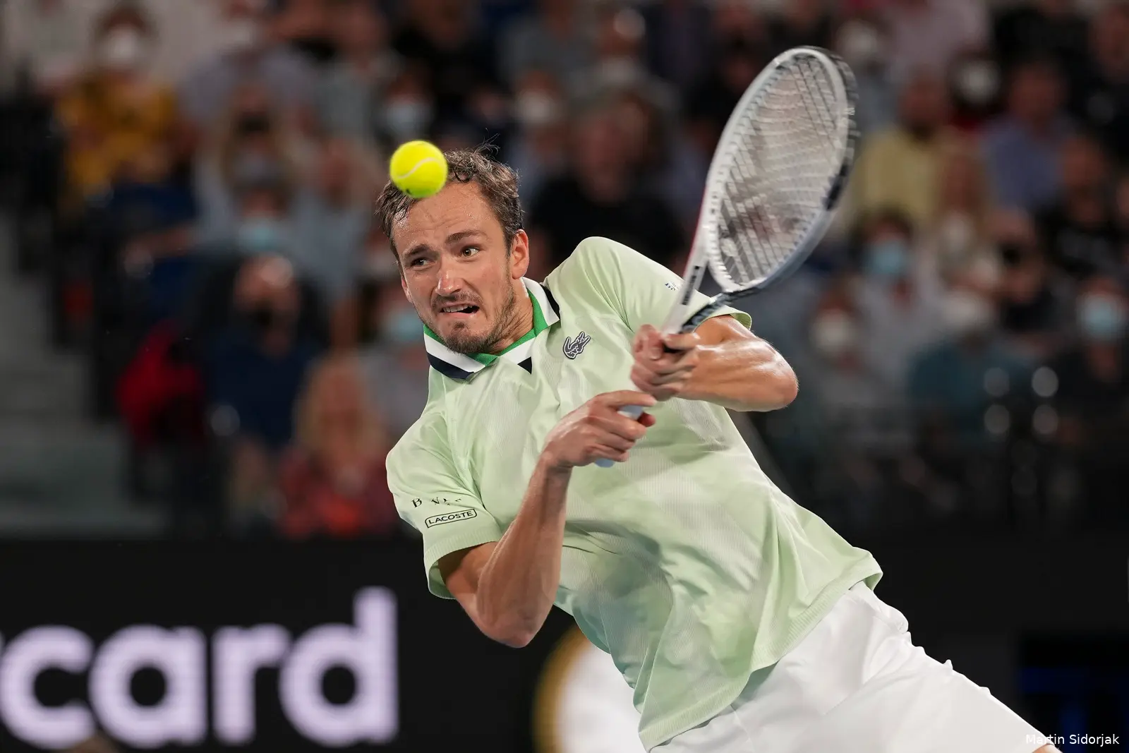 Medvedev Daniil MartinSidorjak5