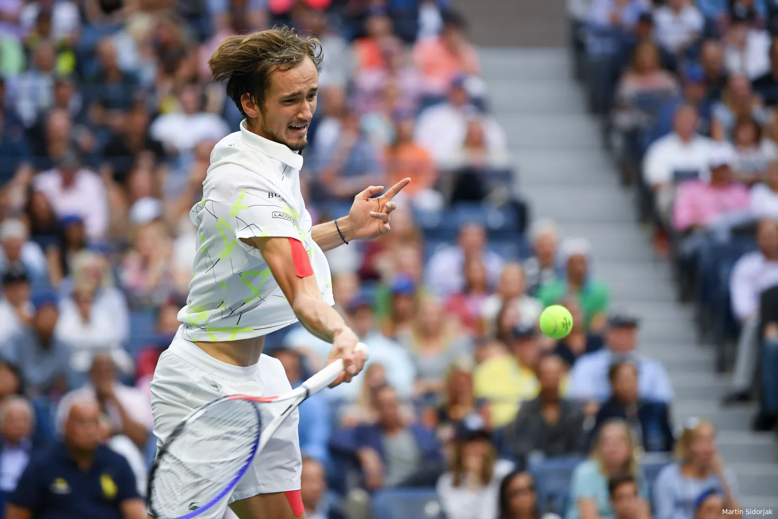 Medvedev Daniil MartinSidorjak10