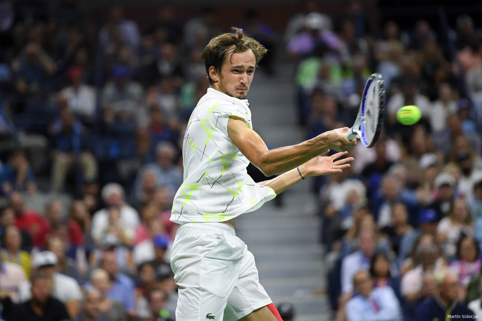 Medvedev Daniil MartinSidorjak11