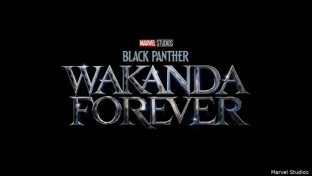 black panther wakanda forever 2022f1654111037