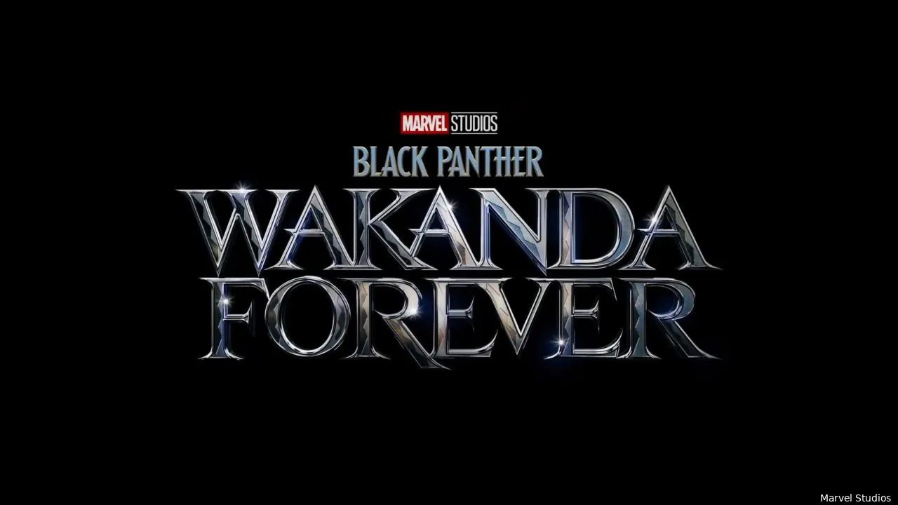 black panther wakanda forever 2022f1654111037