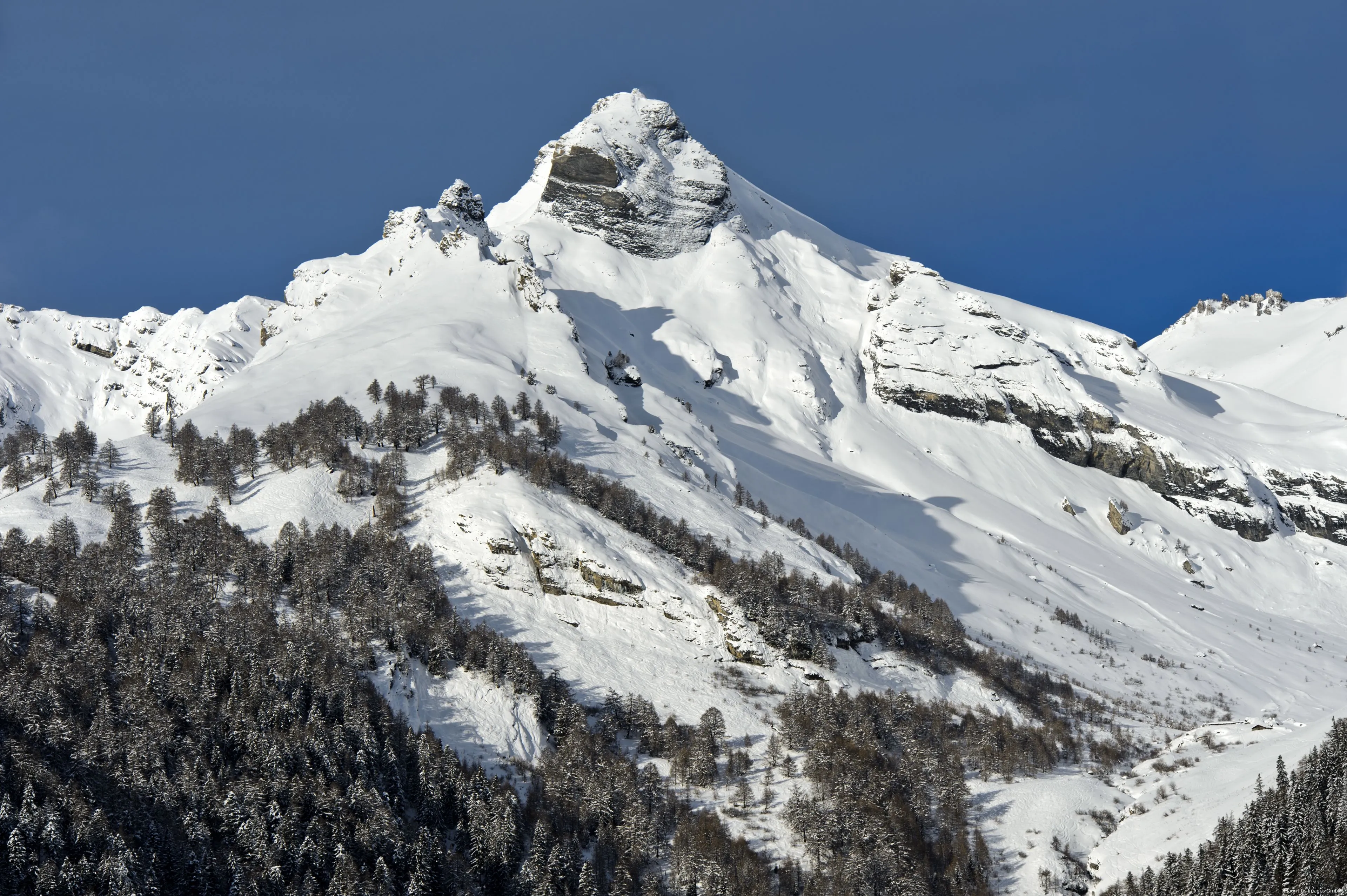 anp 428091757