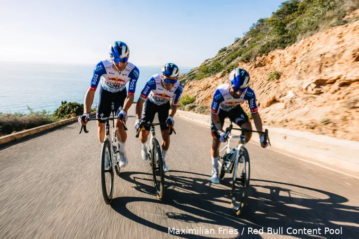 lipowitz-evenepoel-roglic