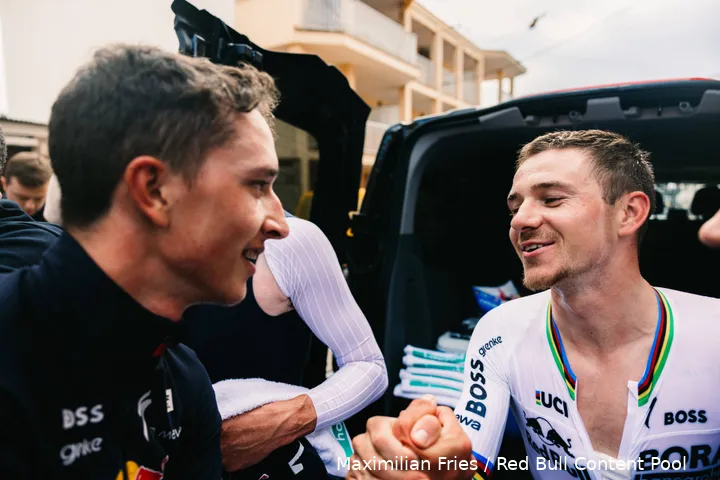 lipowitz-evenepoel