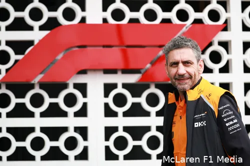 andrea-stella-mclaren-brazilie-vrijdag (2)